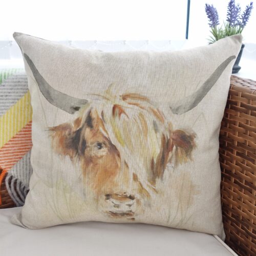 Feature Cushion 43cm - Highland Cow / patterned reverse